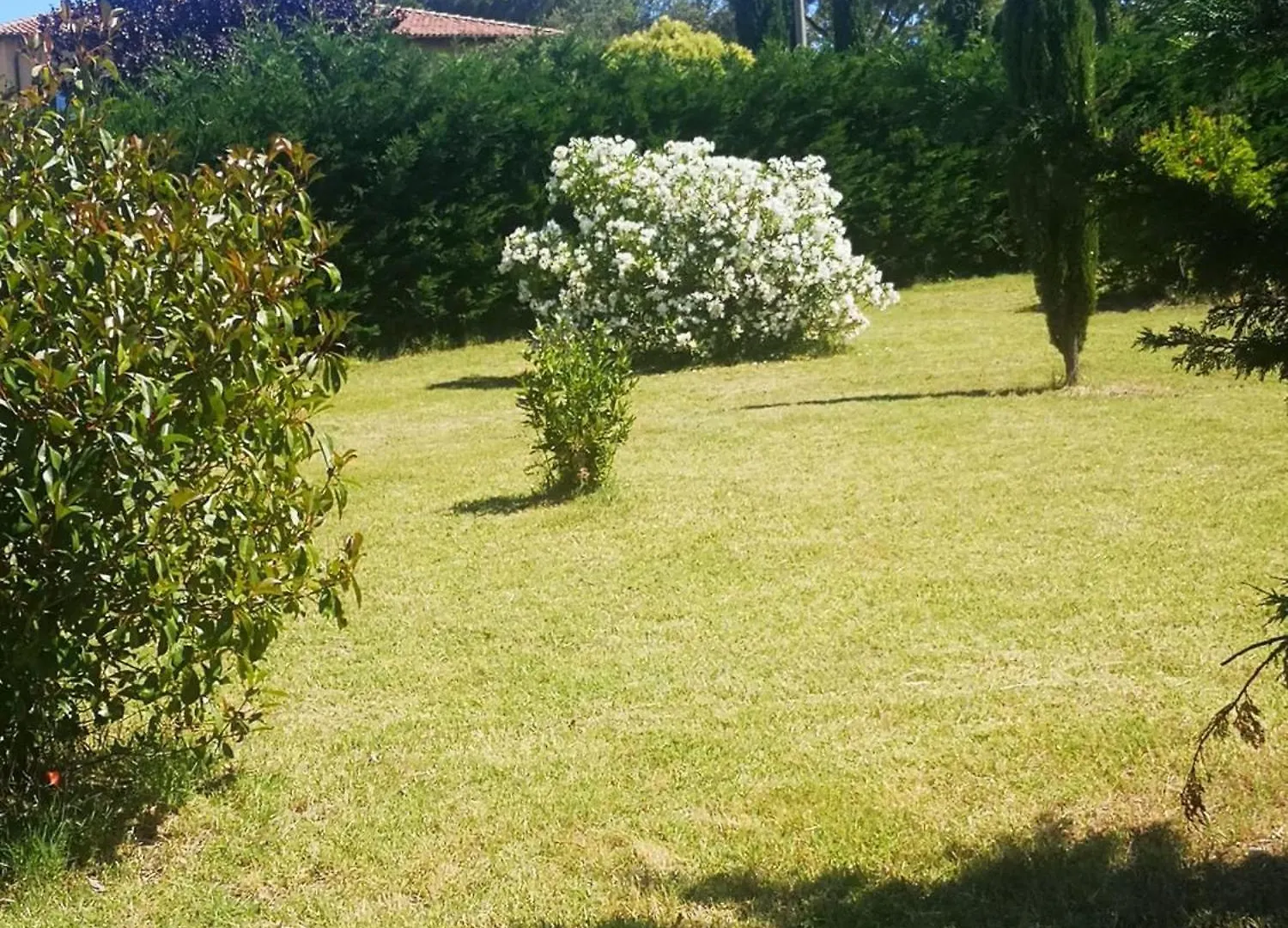 Holiday home Podere Simonetta - A3 Cecina