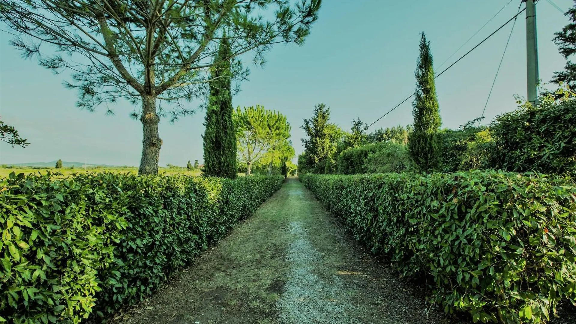 Holiday home Podere Simonetta - A3 Cecina