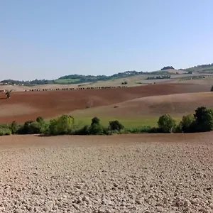 Casa Rosa Marina Di Cecina Cecina (Livorno)